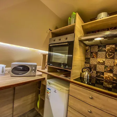Sloneczne Poddasze Apartman *
